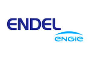 Logo Endel